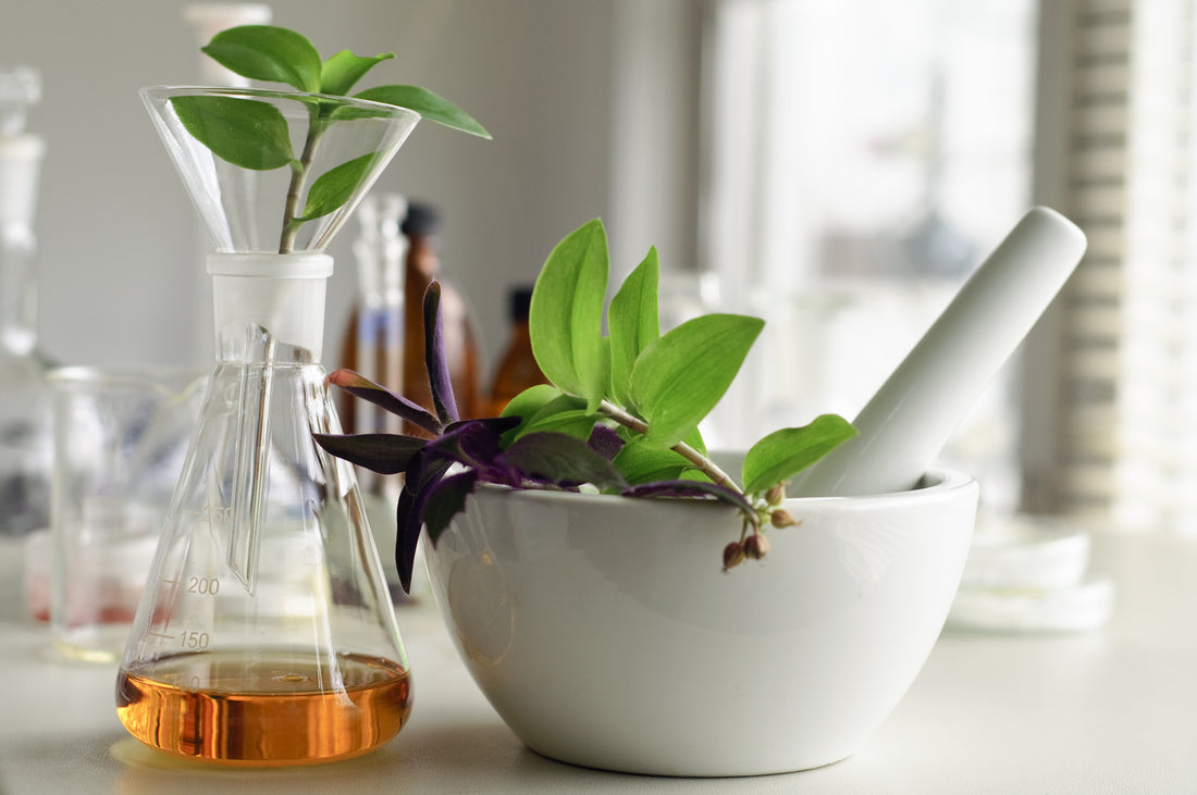 Why Organic Makeup?