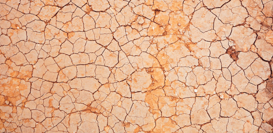 Is Your Oily Skin Actually Dehydrated?